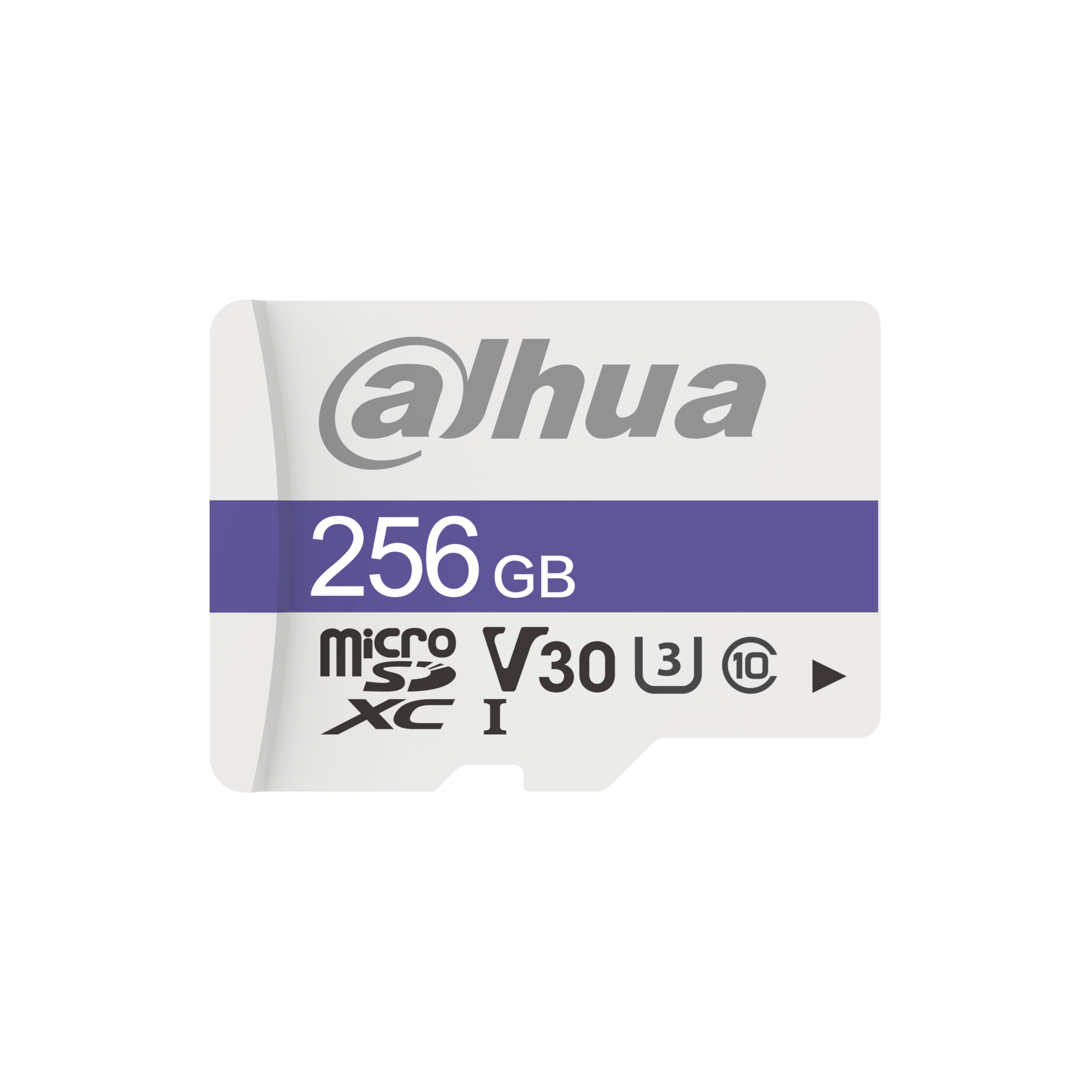 MEMORIA SD TF-C100-256GB  DAHUA